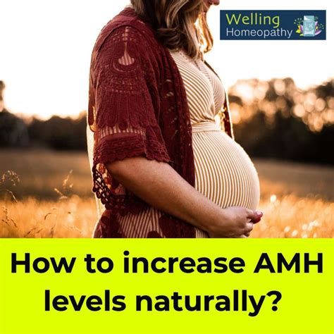 While the above mentioned medical procedures do have a strong chance of helping you achieve <b>pregnancy</b> despite having low <b>AMH</b> levels, you can even attempt to get <b>pregnant</b> the natural way if you are up to it. . Amh 001 and pregnancy